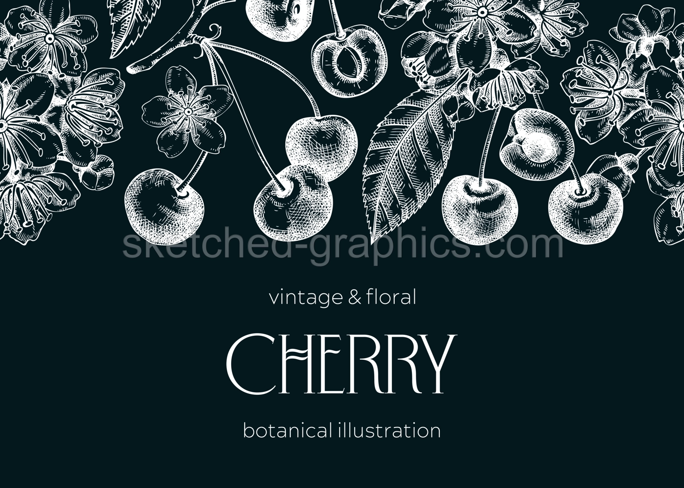 Berry fruit background. Cherry berries, leaves, flowers sketches on chalkboard. Cherry blossom hand-drawn vector illustration. Floral frame design. NOT AI genereted Illustration